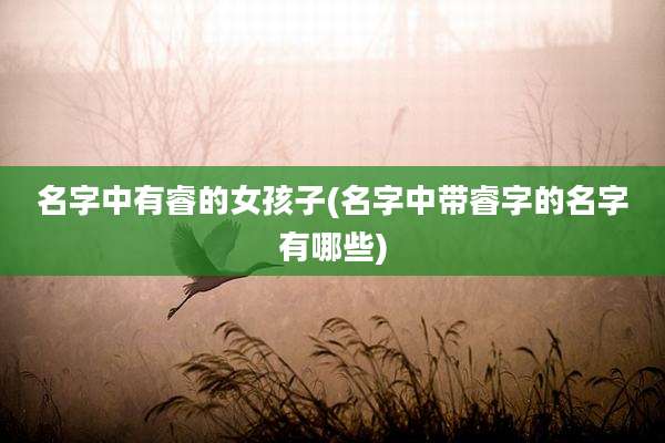 名字中有睿的女孩子(名字中带睿字的名字有哪些)