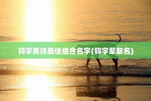 钧字男孩最佳组合名字(钧字辈取名)