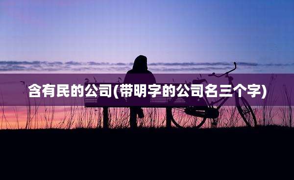 含有民的公司(带明字的公司名三个字)