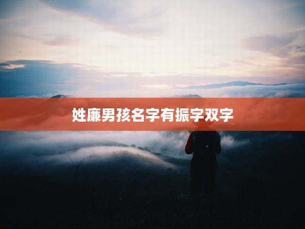 姓廉男孩名字有振字双字