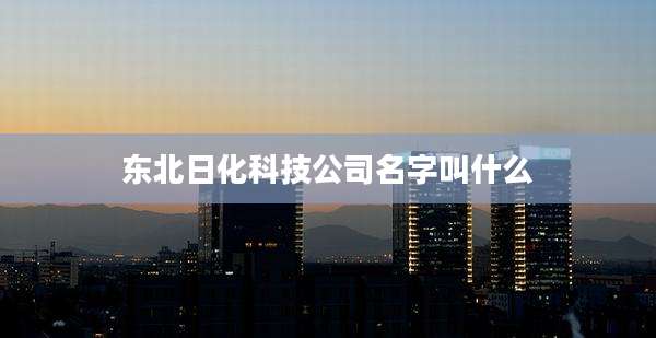 东北日化科技公司名字叫什么
