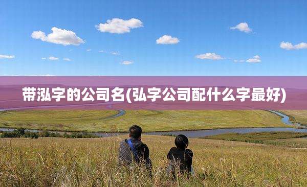 带泓字的公司名(弘字公司配什么字最好)