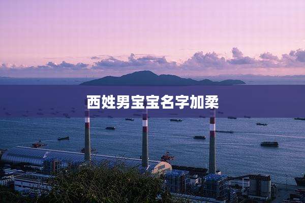 西姓男宝宝名字加柔