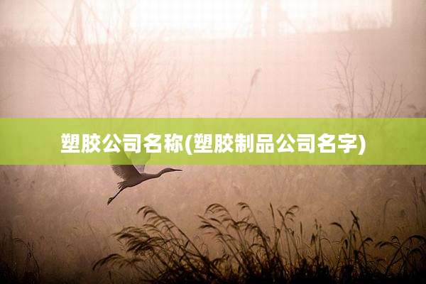 塑胶公司名称(塑胶制品公司名字)