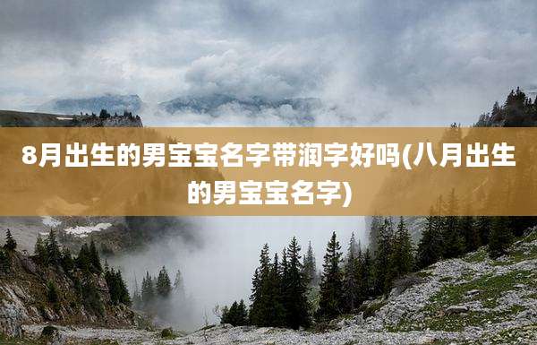 8月出生的男宝宝名字带润字好吗(八月出生的男宝宝名字)