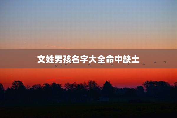 文姓男孩名字大全命中缺土