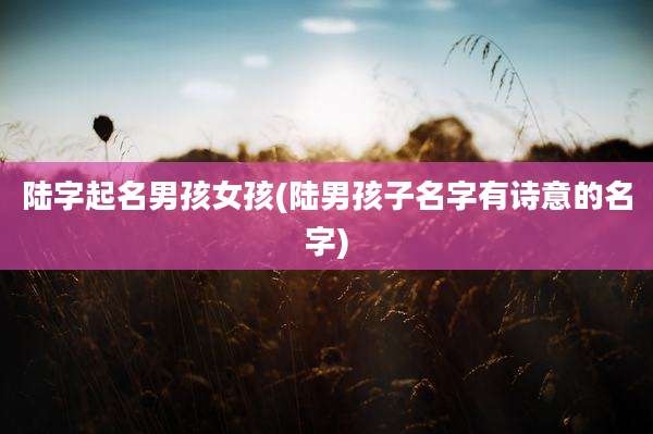 陆字起名男孩女孩(陆男孩子名字有诗意的名字)