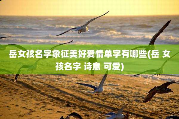 岳女孩名字象征美好爱情单字有哪些(岳 女孩名字 诗意 可爱)