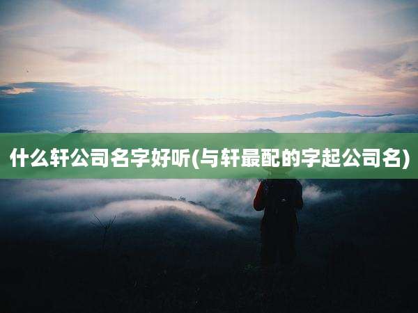 什么轩公司名字好听(与轩最配的字起公司名)