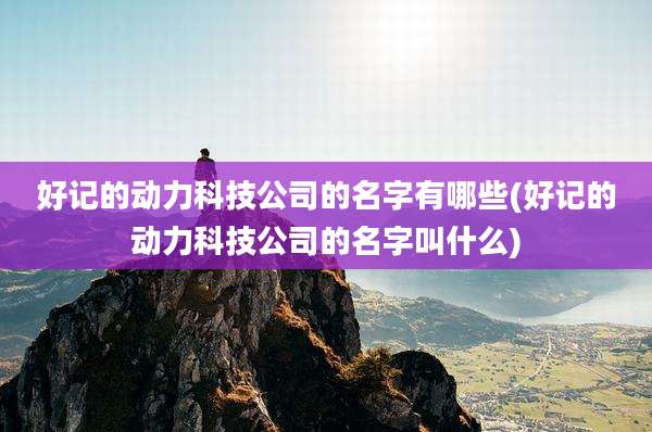 好记的动力科技公司的名字有哪些(好记的动力科技公司的名字叫什么)