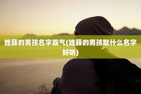 姓薛的男孩名字霸气(姓薛的男孩取什么名字好听)