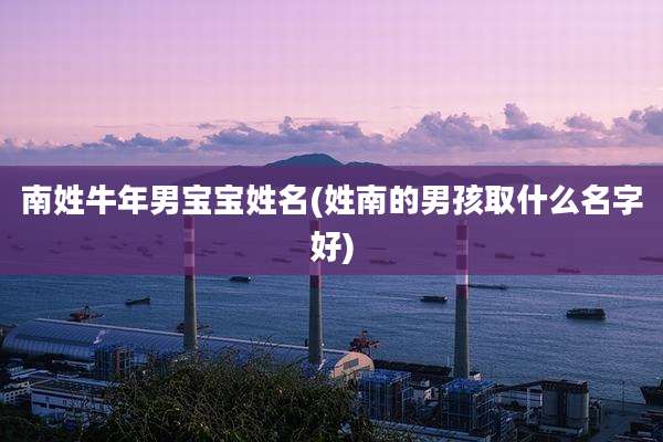 南姓牛年男宝宝姓名(姓南的男孩取什么名字好)