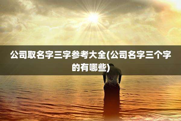 公司取名字三字参考大全(公司名字三个字的有哪些)