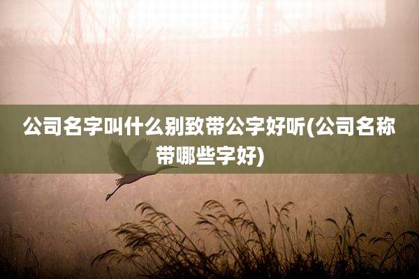 公司名字叫什么别致带公字好听(公司名称带哪些字好)