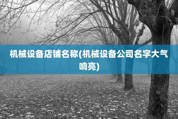 机械设备店铺名称(机械设备公司名字大气响亮)