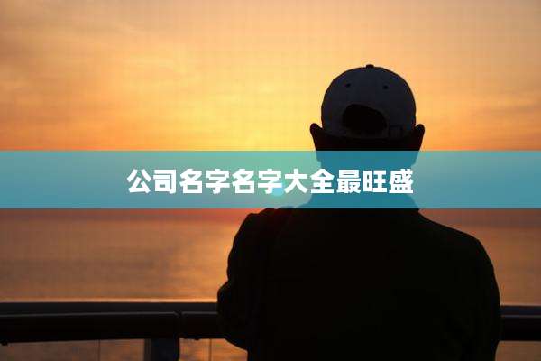 公司名字名字大全最旺盛