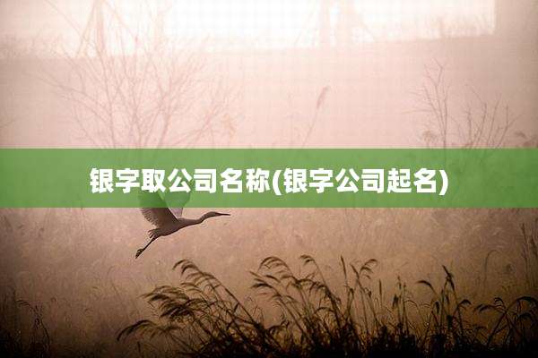 银字取公司名称(银字公司起名)