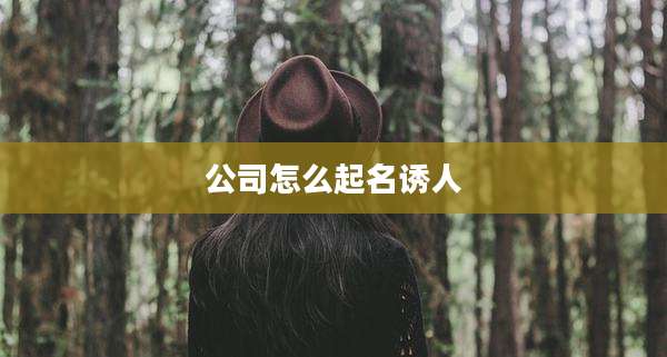 公司怎么起名诱人