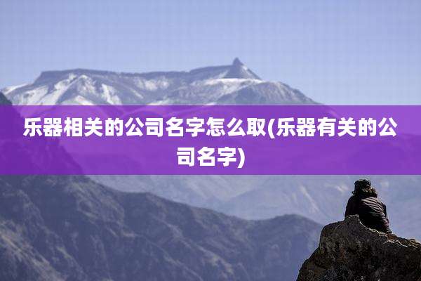 乐器相关的公司名字怎么取(乐器有关的公司名字)