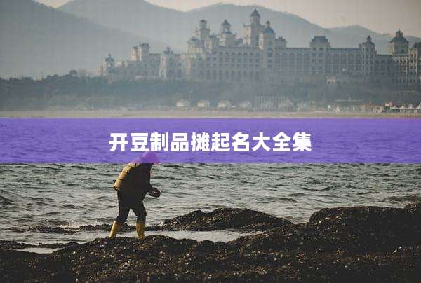 开豆制品摊起名大全集