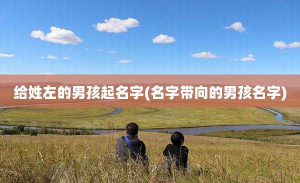 给姓左的男孩起名字(名字带向的男孩名字)