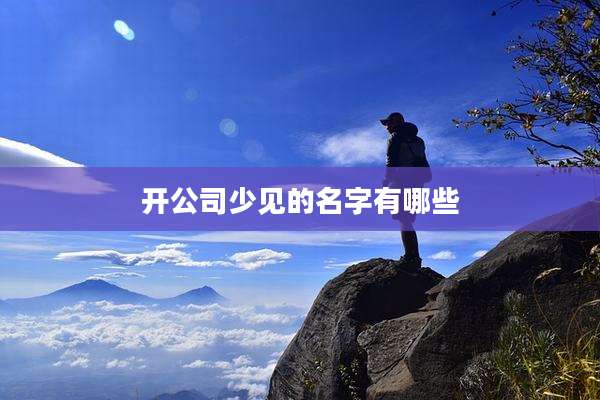 开公司少见的名字有哪些