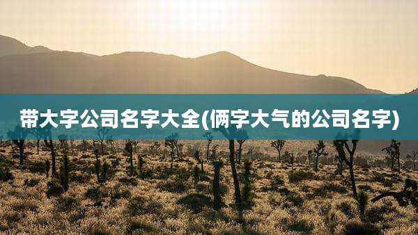 带大字公司名字大全(俩字大气的公司名字)