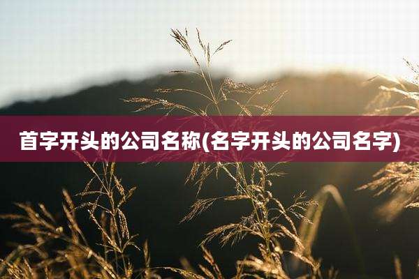首字开头的公司名称(名字开头的公司名字)