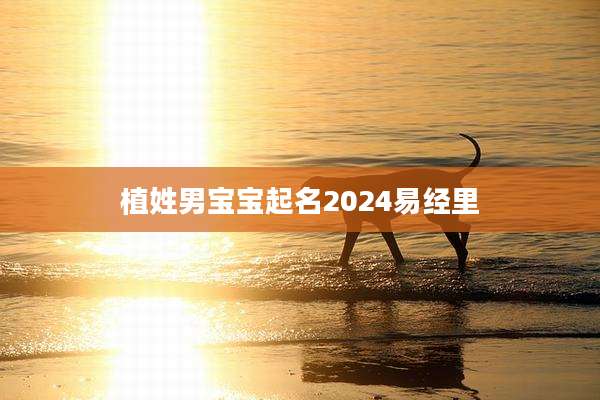 植姓男宝宝起名2024易经里