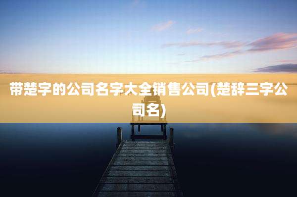 带楚字的公司名字大全销售公司(楚辞三字公司名)