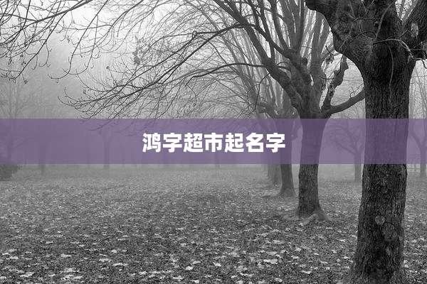 鸿字超市起名字