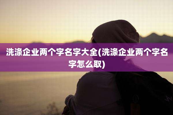 洗涤企业两个字名字大全(洗涤企业两个字名字怎么取)