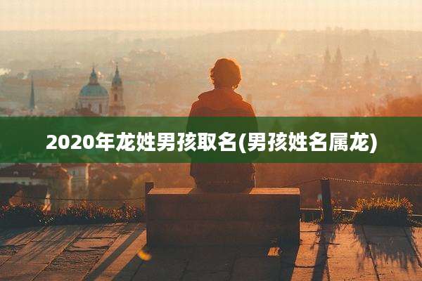 2020年龙姓男孩取名(男孩姓名属龙)