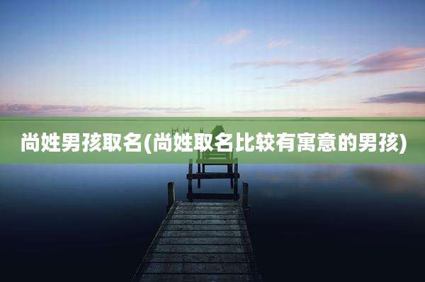 尚姓男孩取名(尚姓取名比较有寓意的男孩)