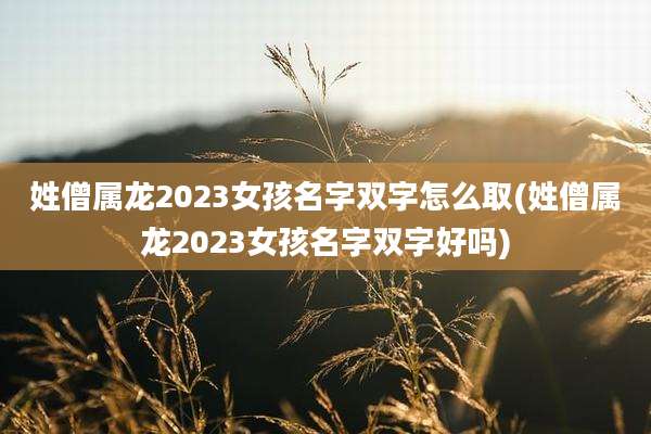 姓僧属龙2023女孩名字双字怎么取(姓僧属龙2023女孩名字双字好吗)