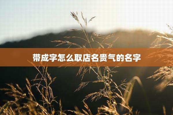 带成字怎么取店名贵气的名字