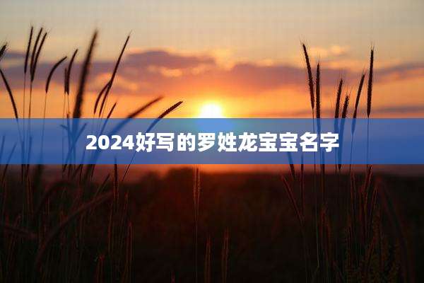 2024好写的罗姓龙宝宝名字