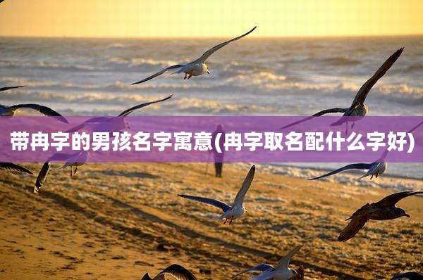 带冉字的男孩名字寓意(冉字取名配什么字好)