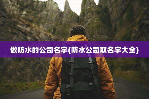 做防水的公司名字(防水公司取名字大全)