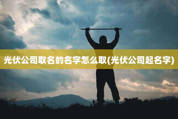 光伏公司取名的名字怎么取(光伏公司起名字)