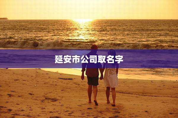 延安市公司取名字