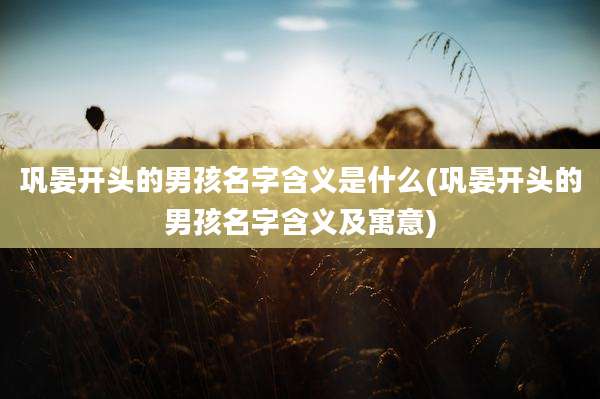 巩晏开头的男孩名字含义是什么(巩晏开头的男孩名字含义及寓意)