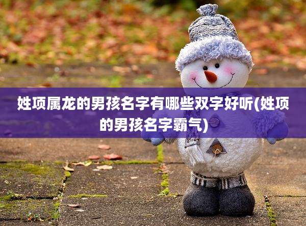 姓项属龙的男孩名字有哪些双字好听(姓项的男孩名字霸气)