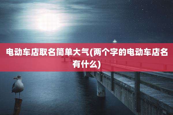 电动车店取名简单大气(两个字的电动车店名有什么)