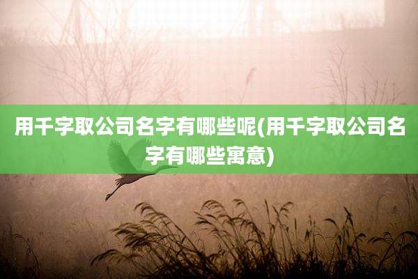 用千字取公司名字有哪些呢(用千字取公司名字有哪些寓意)