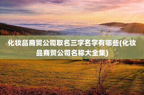 化妆品商贸公司取名三字名字有哪些(化妆品商贸公司名称大全集)