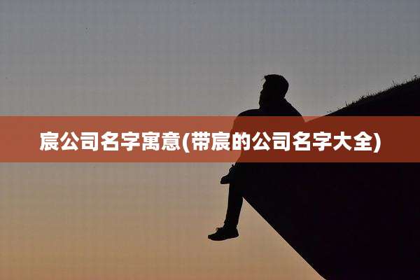 宸公司名字寓意(带宸的公司名字大全)