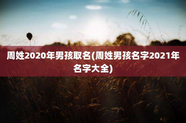 周姓2020年男孩取名(周姓男孩名字2021年名字大全)