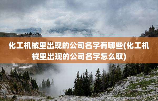 化工机械里出现的公司名字有哪些(化工机械里出现的公司名字怎么取)