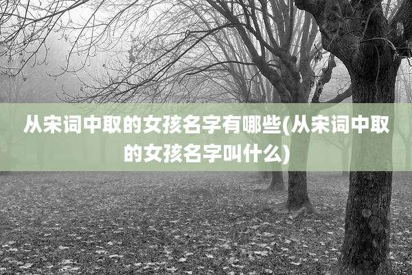 从宋词中取的女孩名字有哪些(从宋词中取的女孩名字叫什么)